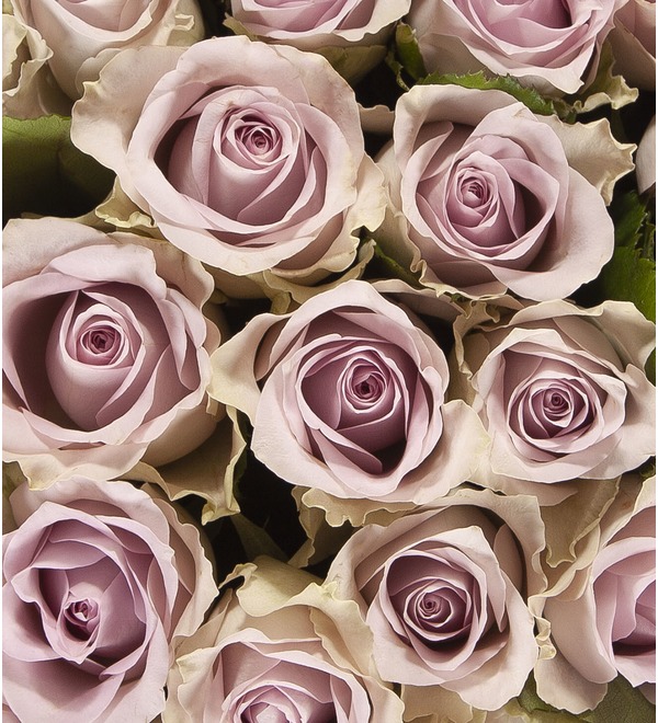 Bouquet-solo Fifth Avenue (15,25,51 or 75) – photo #3