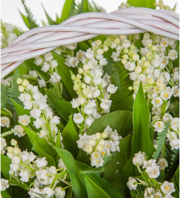 Composition of lily of the valley Secrets of the Snow White – photo #3