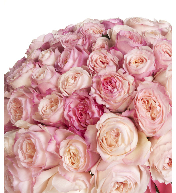 Букет-соло роз David Austin Keira (51, 75 или 101) – фото № 2