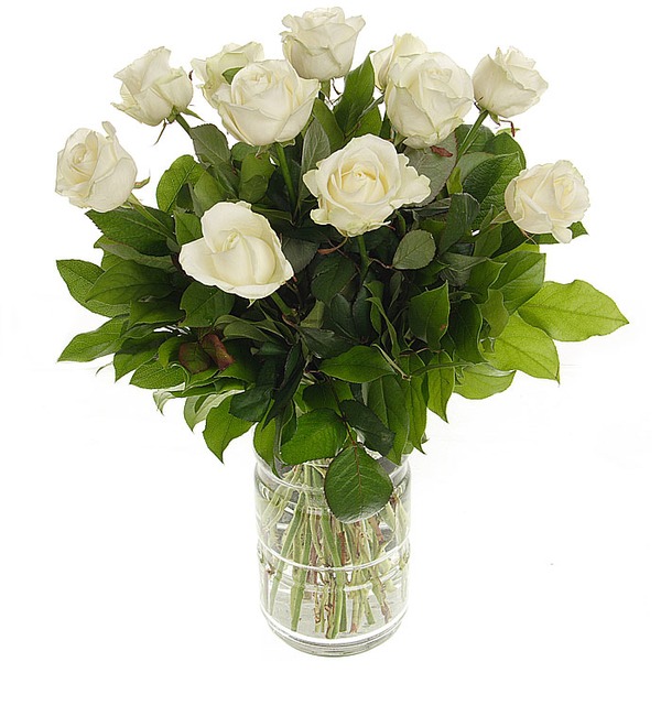 Букет из 11 белых роз Мои комплименты... RU R11W KI – фото № 3