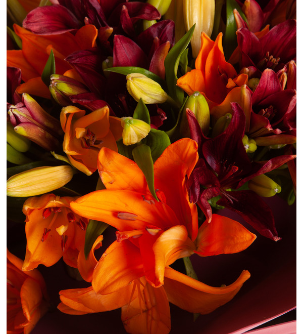 Bouquet-duet of Asian lilies (5,7,9,15,25,35 or 51) – photo #3