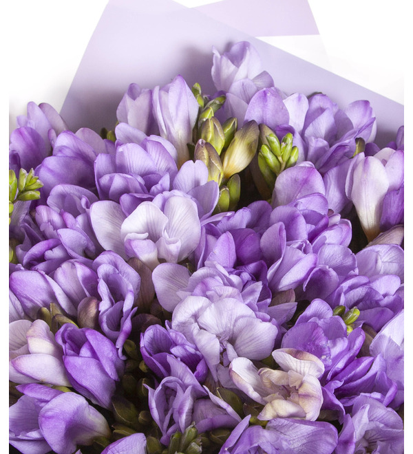 Букет-соло сиреневой фрезии (25,35,51,75 или 101) – фото № 2