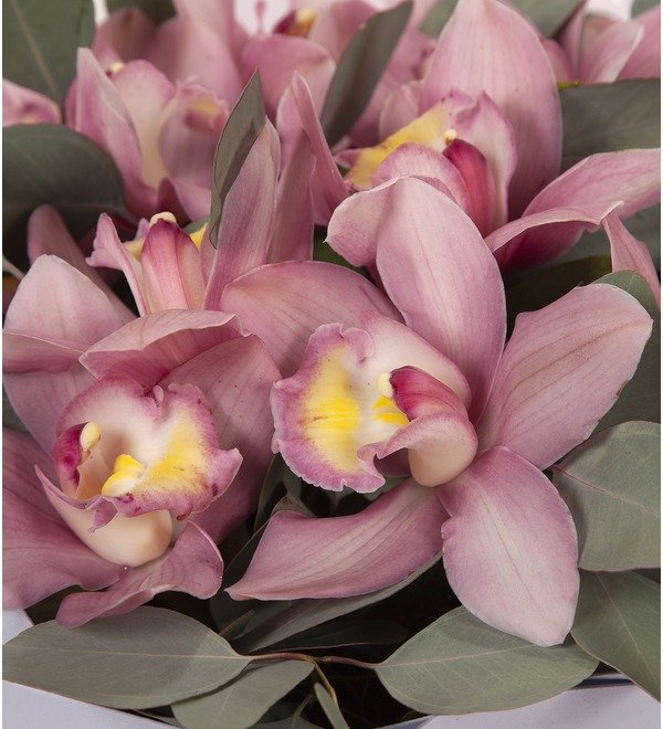 Bouquet-solo Pink orchids (15,25,51 or 75) – photo #2