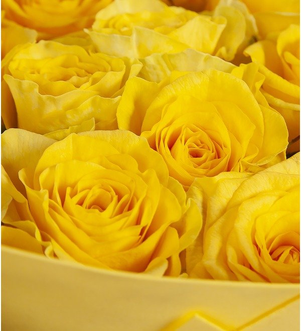 Букет-соло Жёлтые розы (25,51,75 или 101) – фото № 2