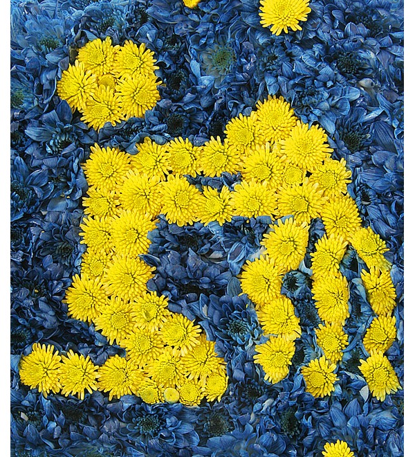 Знак зодиака Водолей (21 января - 20 февраля) – фото № 5