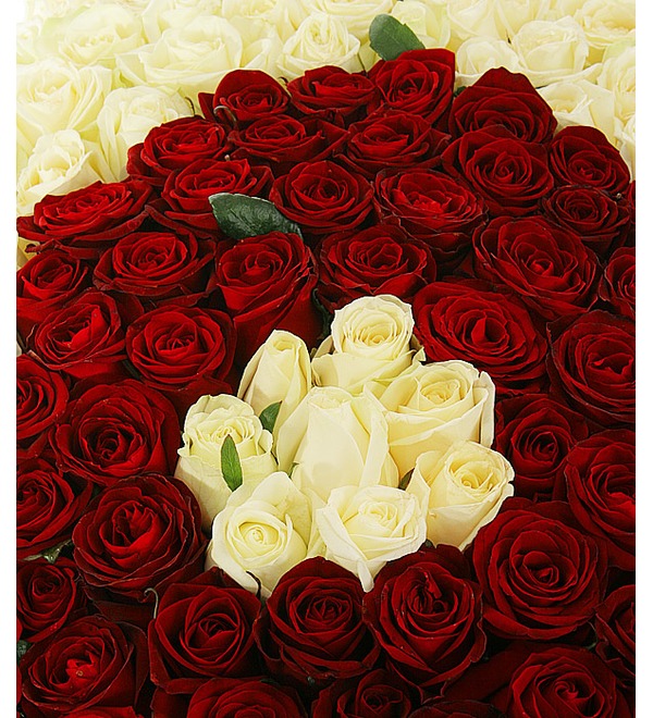 Composition You and I (333 roses) AR640 RUS – photo #2