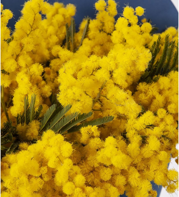 Bouquet-solo mimosa – photo #2