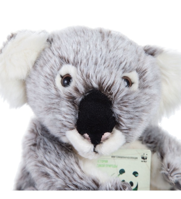 Soft toy Koala (23 cm) – photo #4