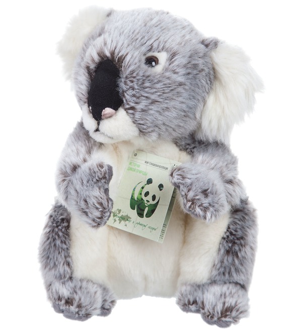 Soft toy Koala (23 cm) – photo #2