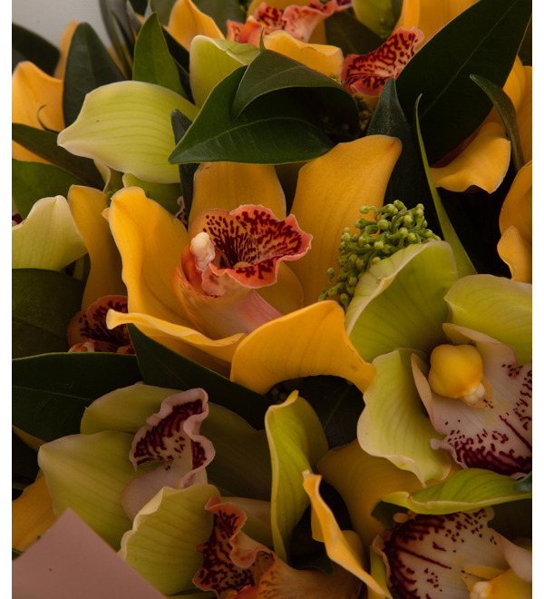 Bouquet-duet Orchids (15,25,35,51,75 or 101) – photo #2