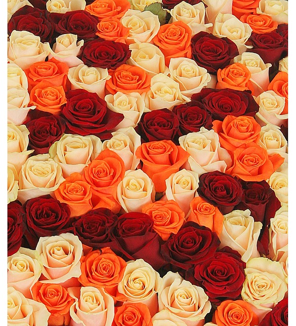 Composition of roses In the proof of love ... – photo #5