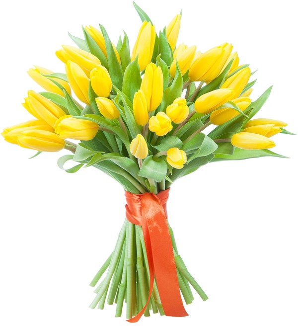 Bouquet of tulips Ray of Sun (31 or 45) BT470 SKO – photo #1