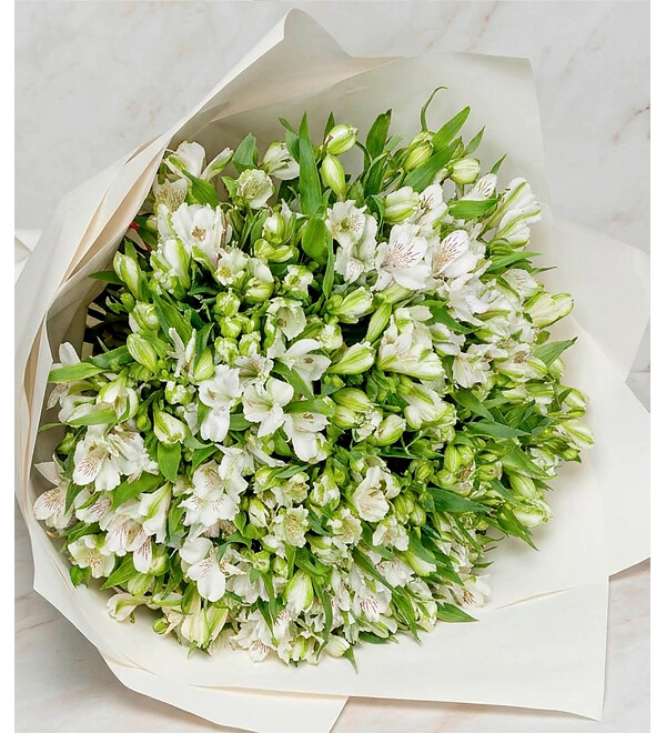 Bouquet-solo White Alstroemeria (25,51 or 101) – photo #1