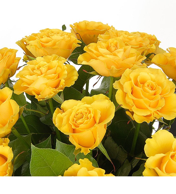 12 желтых роз (без вазы) NP 112.Yellow POK – фото № 3