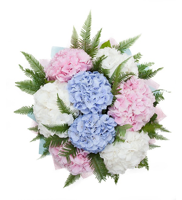 Bouquet of hydrangeas Soaring in the Clouds BC3628 LON – photo #3