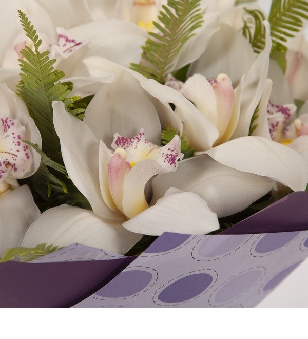 Букет-соло Белые орхидеи (15,25,35,51,75,101 или 151) – фото № 3