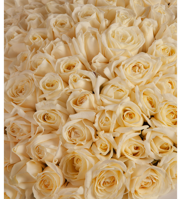 Bouquet-solo of white roses (51,75,101,151 or 201) – photo #3
