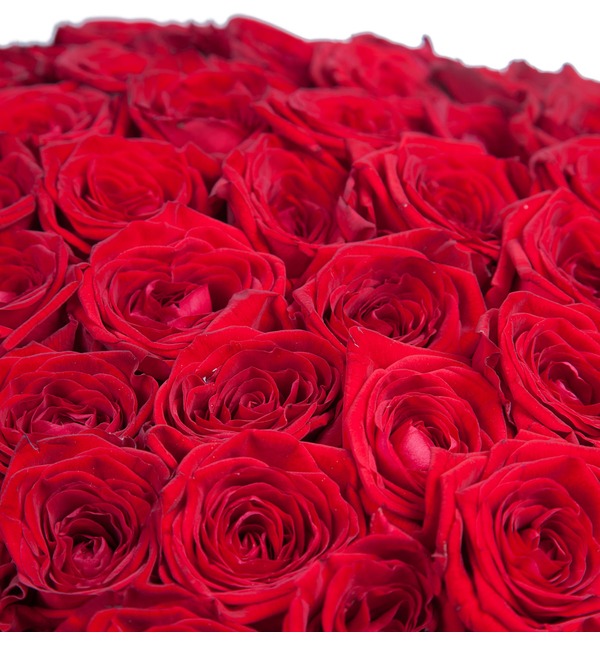 Букет из 201 красной розы Ты - мой мир! FV47 NOV – фото № 4