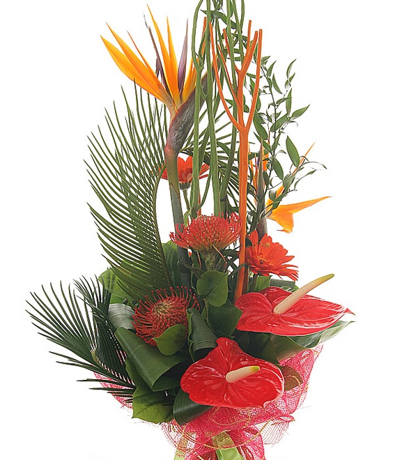 Mixed exotic flower bouquet FR BE368 ROQ – photo #1