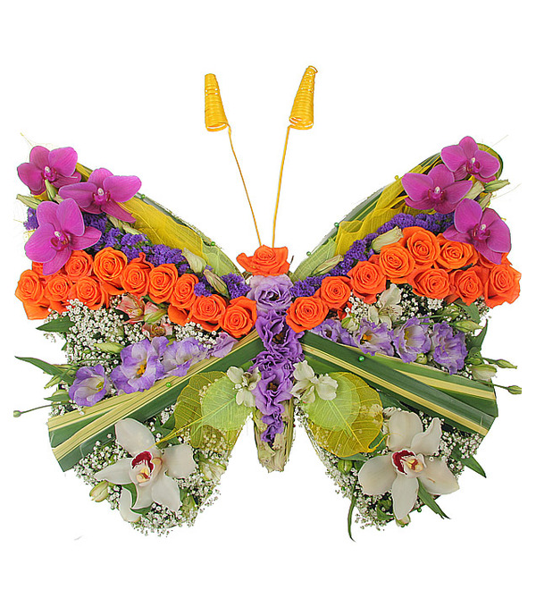 Композиция Бабочка – фото № 1