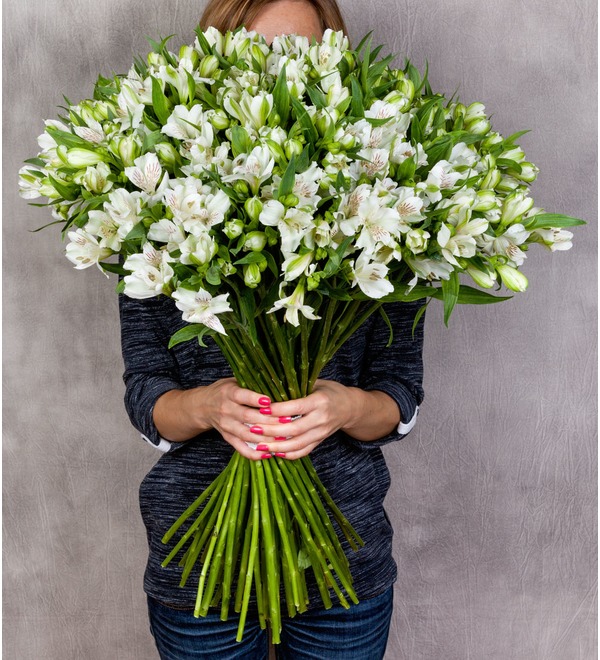 Bouquet-solo White Alstroemeria (25,51 or 101) MN207 GER – photo #2