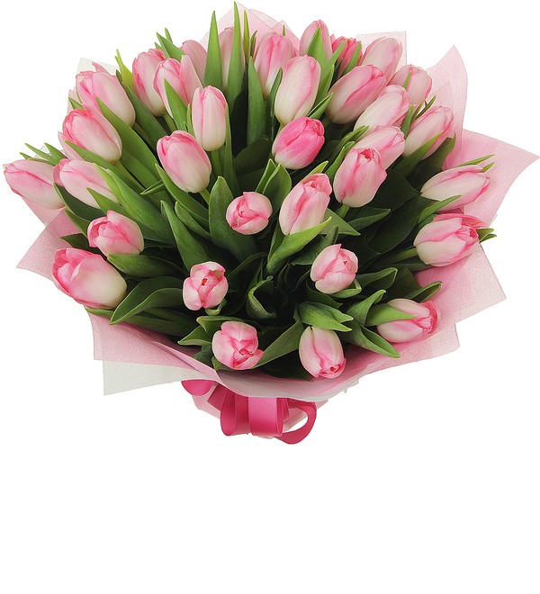 Букет Весенняя нежность из 35 тюльпанов BT439 KRA – фото № 1