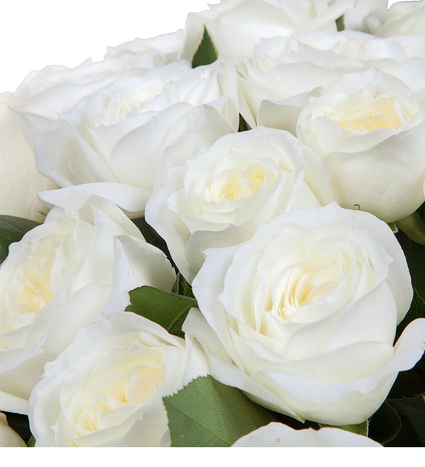 Букет-соло роз Alabaster (15,25,35,51,75 или 101) – фото № 3