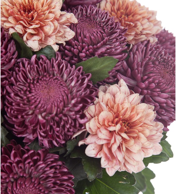 Bouquet of single-headed chrysanthemums Delicacy (21,35 or 51) – photo #2