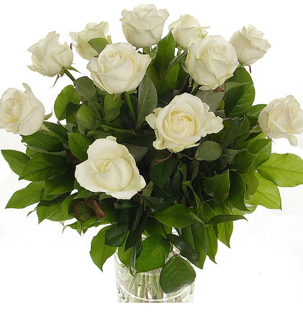 Букет из 11 белых роз Мои комплименты... RU R11W KI – фото № 2