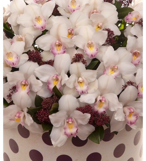 Композиция Экзотические орхидеи – фото № 3