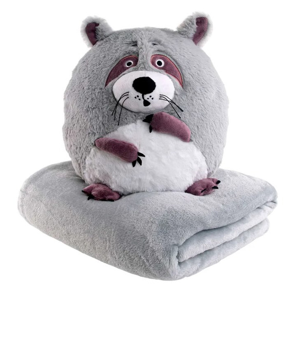 Soft toy Toffee Raccoon 30 cm with a plaid 130x180 cm – photo #1