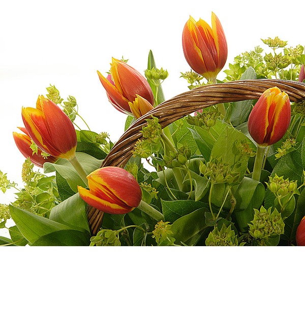 Композиция из 25 тюльпанов Самой восхитительной FI AT700 ROV – фото № 5