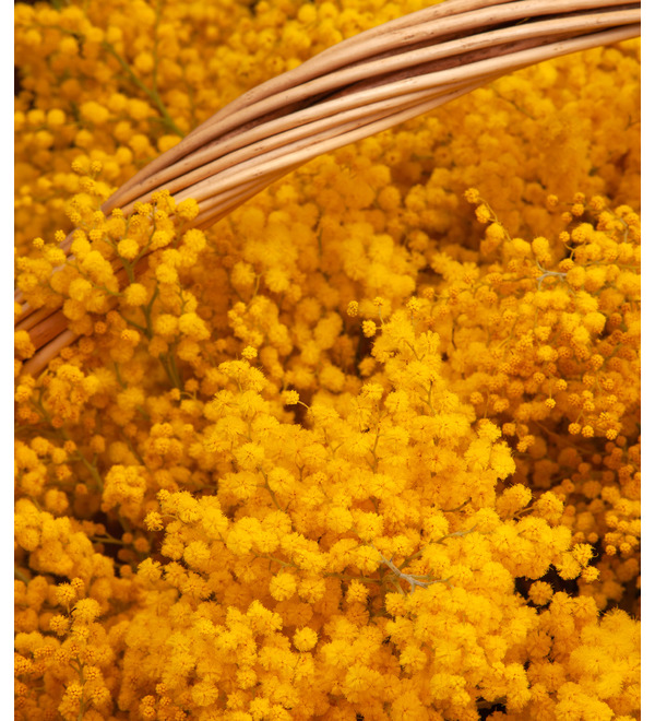 Composition Armful of mimosa – photo #3