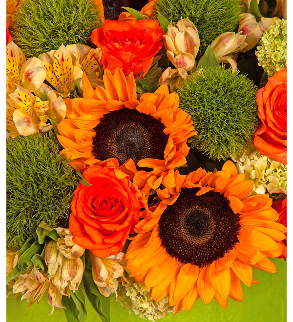 Composition Hot summer – photo #2