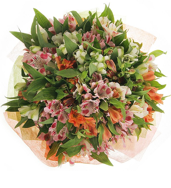 Bouquet of mixed coloured alstroemerias LT BC245 TEL – photo #2