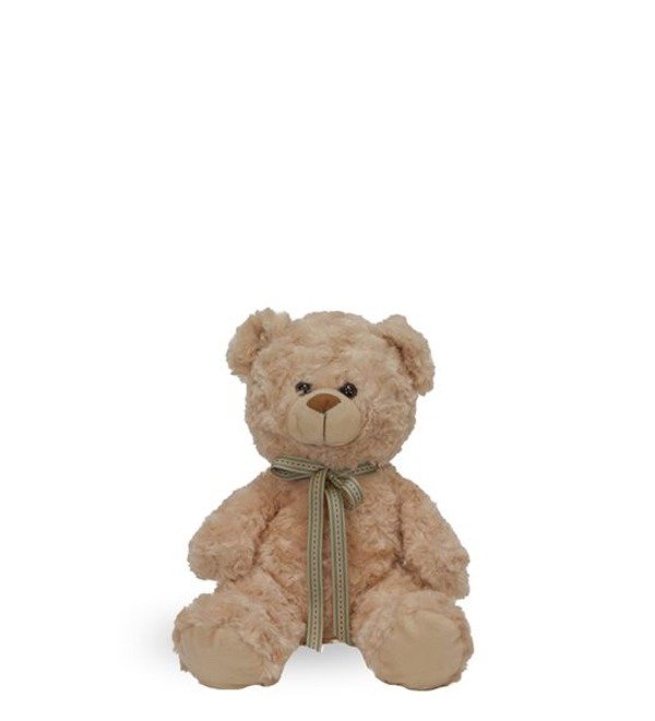 Teddy TS1 TAM – photo #1