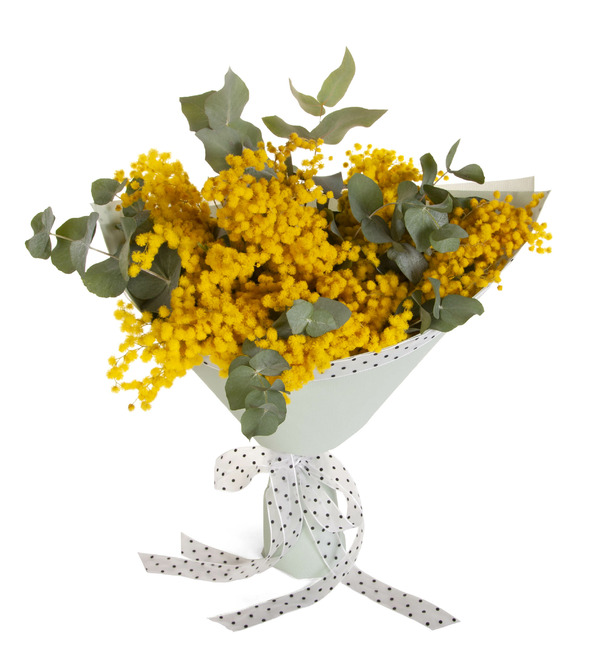 Букет-соло мимозы (5,7,9,15 или 25) – фото № 5