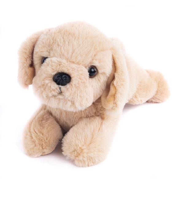Soft toy Dog Beige (28 cm) – photo #2