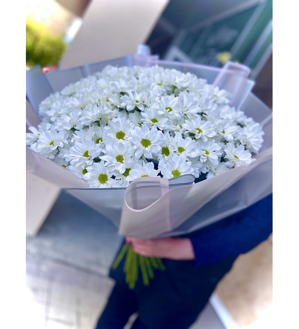 Bouquet Cloud of Chrysanthemums AL41 BEL – photo #1