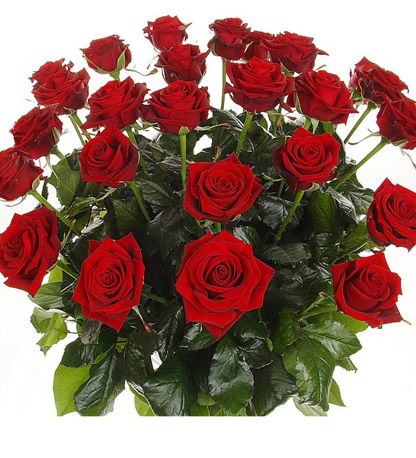 Букет из 25 красных роз Страстный ангел RU R25R YEH – фото № 1