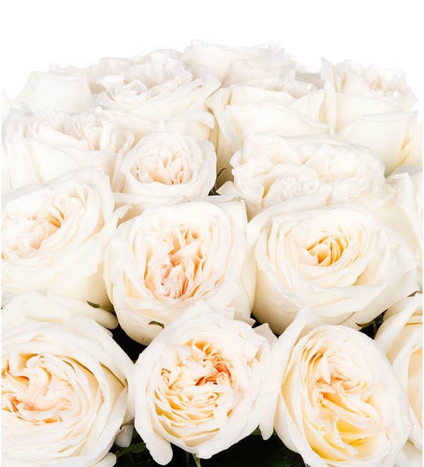 Букет пионовидных роз White OHara (9,15,25,35,51 или 75) – фото № 4