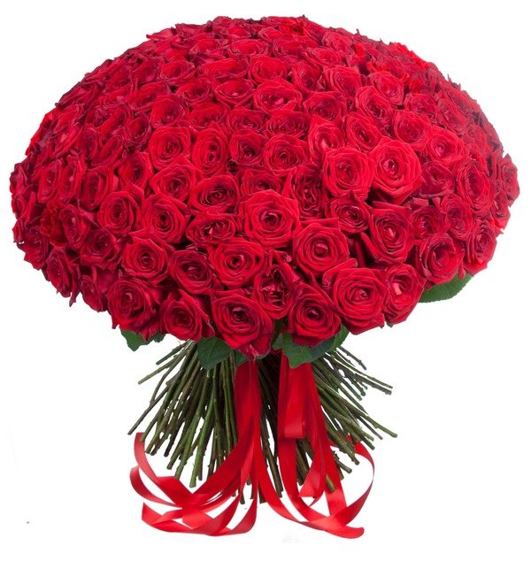 Букет из 201 красной розы Ты - мой мир! – фото № 1
