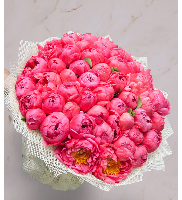 Bouquet of peonies Coral Sunset (51 or 101 peonies) – photo #1