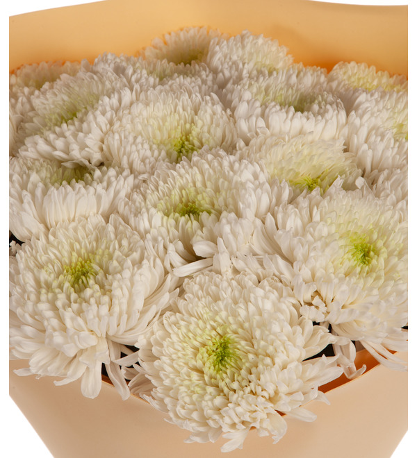 Bouquet-solo chrysanthemums Magnum (5,7,9,15,25,35 or 51) – photo #3