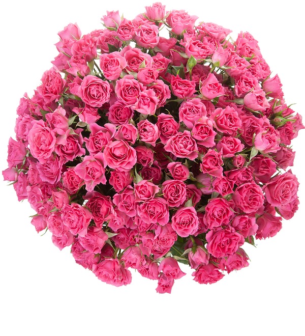 Букет-соло Розовое настроение (15,25,35,51,75 или 101) BC3942 ST- – фото № 5