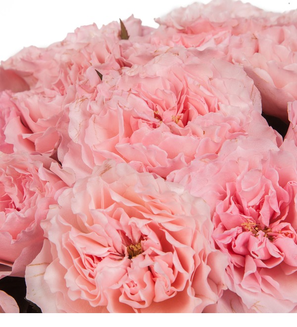 Букет-соло из пионовидных роз Mayras Rose (15,25,35,51,75 или 101) – фото № 4