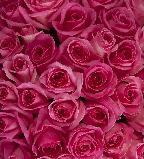 Букет-соло Розовые розы (15,25,35,51,75,101 или 151) MCS19 BEL – фото № 2