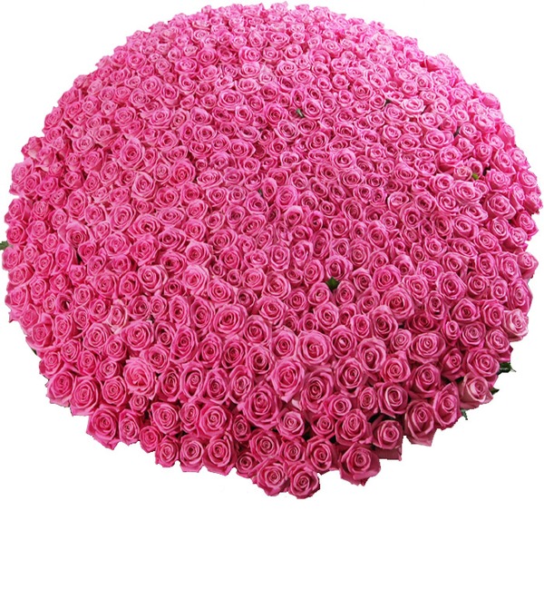 Композиция из 501 розовой розы Самой любимой AR639 ANT – фото № 4