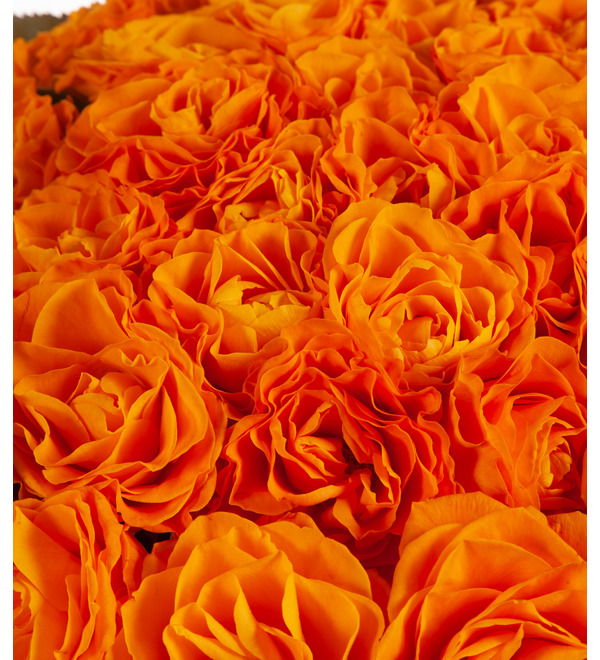 Bouquet-solo roses Wow (51,75,101 or 151) – photo #3