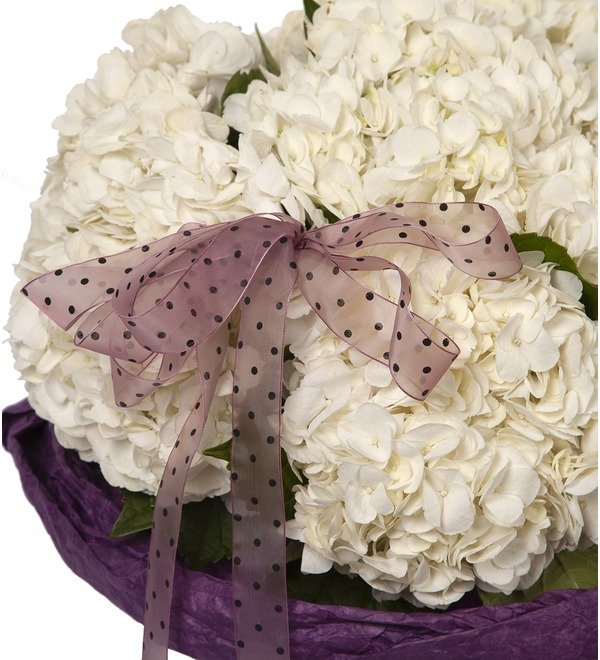 Bouquet-solo White hydrangeas (5,7,9 or 15) – photo #3